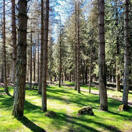 La Cachette De Nina- Madame Reve - Saint-girons * Saint-Girons (Ariege)